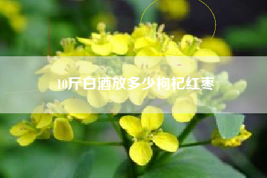 “千杯少”这个酒类商标,你也不知道是哪个白酒的吧?