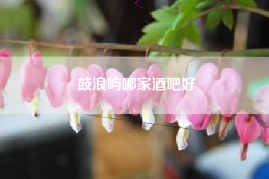 鼓浪屿哪家酒吧好 鼓浪屿哪家酒吧好