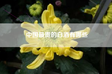 中国最贵的白酒有哪些 中国最贵的白酒有哪些