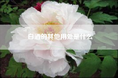 白酒的其他用处是什么
