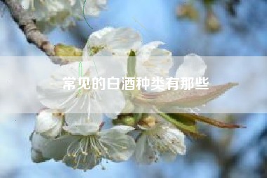常见的白酒种类有那些 常见的白酒种类有那些