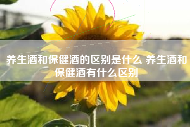 养生酒和保健酒的区别是什么 养生酒和保健酒有什么区别 养生酒和保健酒的区别是什么 养生酒和保健酒有什么区别